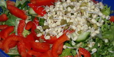 легкий витаминный салат