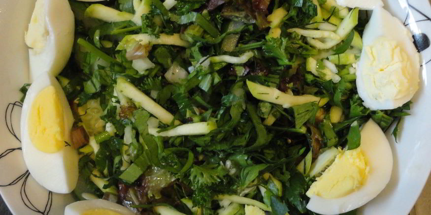 Рецепт салата из свежих молодых кабачков и зелени