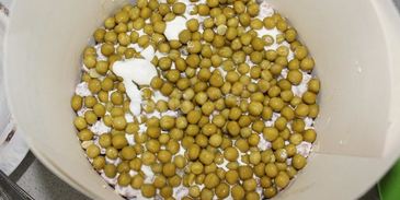 салат на траве дрова с кириешками и колбасой