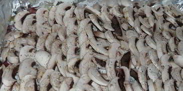 печень под шубой