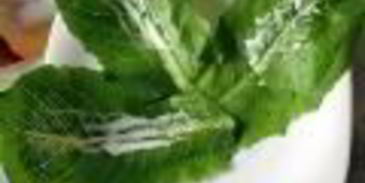 салат цезарь в минималистическом стиле