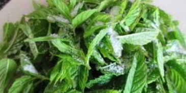 английский мятный соус