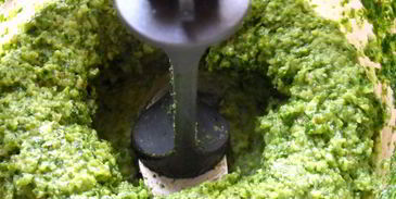 песто из петрушки