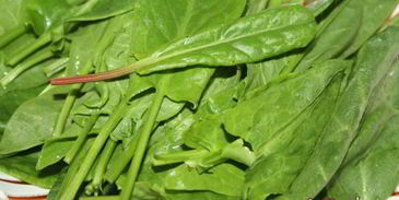 зеленый борщ со щавлем и маринованными огурцами