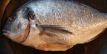 дорада в сумасшедшем бульоне