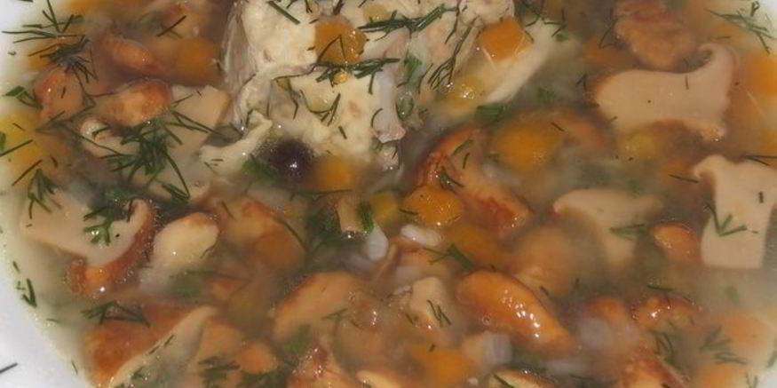 Рецепт лисичек с курицей в бульоне