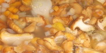 лисички с курицей в бульоне