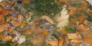 лисички с курицей в бульоне