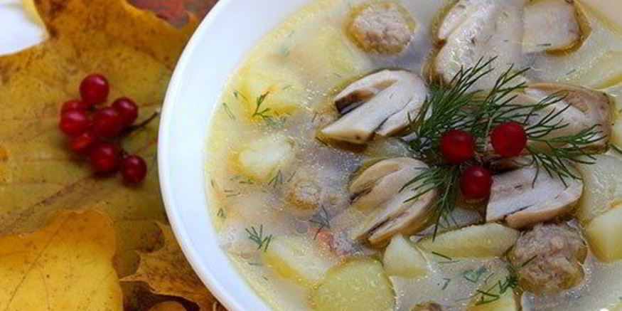 Рецепт супа из белых грибов на мясном бульоне