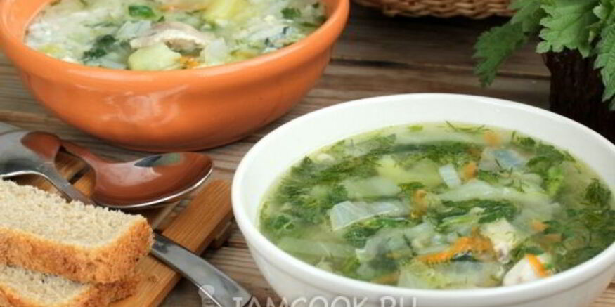Рецепт супа с крапивой на курином бульоне