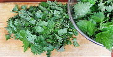 суп с крапивой на курином бульоне