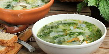 суп с крапивой на курином бульоне