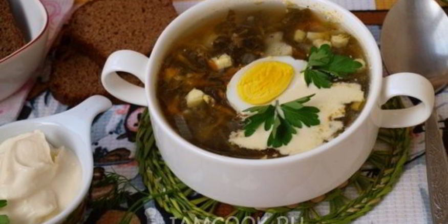 Рецепт зеленого борща со щавелем на мясном бульоне