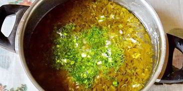 холодник из щавеля на кефире