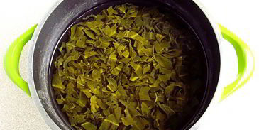 холодник со щавелем