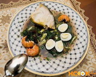 Холодный суп ботвинья