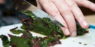 холодный суп ботвинья