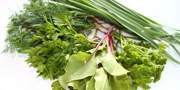 свекольный холодник с закваской