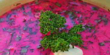 свекольный холодник с закваской