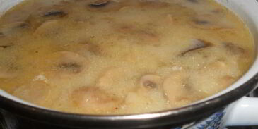 молочный суп с грибами