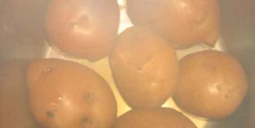 окрошка с майонезом