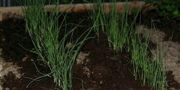 окрошка с мясом