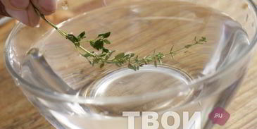 суп минестроне