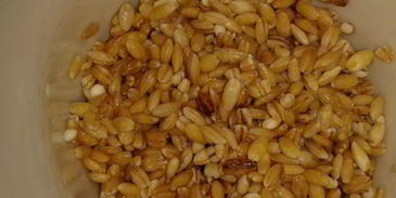 суп рассольник