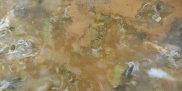 деревенские щи