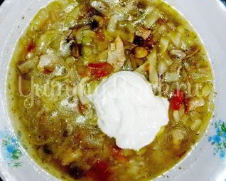 Куриные щи с грибами и лапшой