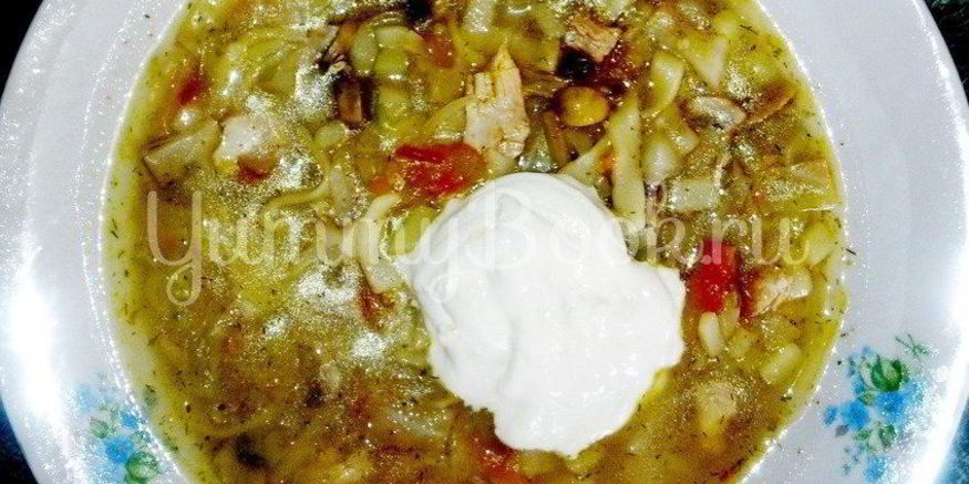 Рецепт куриных щей с грибами и лапшой