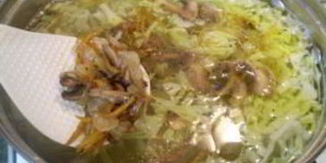 постные щи из свежей капусты с грибами