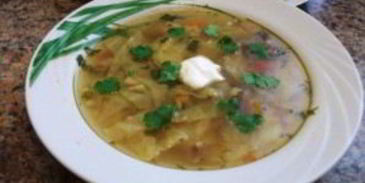 щи из квашеной капусты со свининой