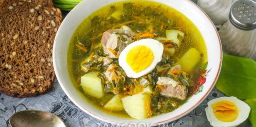 Рецепт щей из щавеля на мясном бульоне