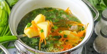 щи из щавеля на мясном бульоне