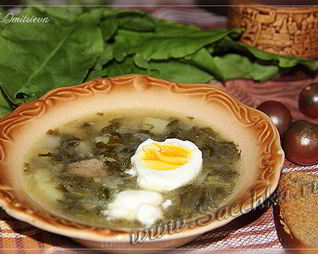 Щи из щавеля