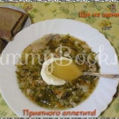 Щи из щеницы