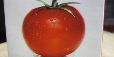 щи, просто щи