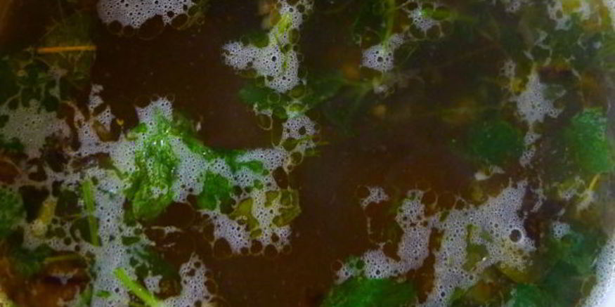 Рецепт щей со щавелем