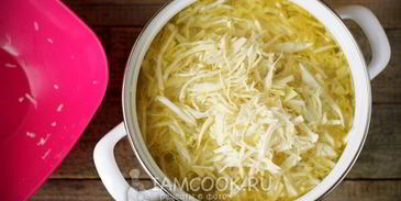 свежие щи с курицей