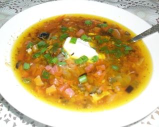 Домашняя солянка