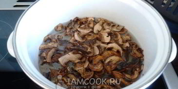 грибная сборная солянка