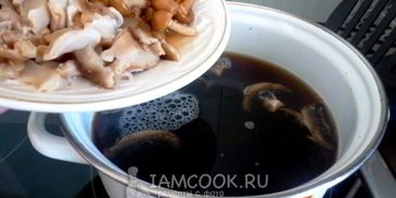 грибная сборная солянка