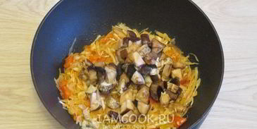 грибная солянка с капустой