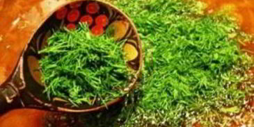 солянка грибная сборная