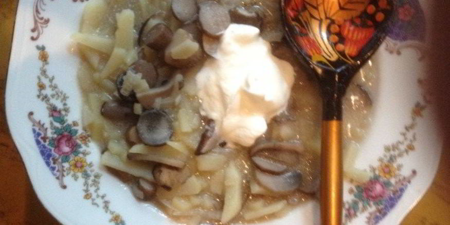 Рецепт солянки грибной