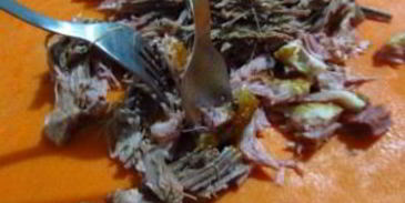 солянка московская