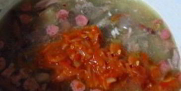 солянка московская