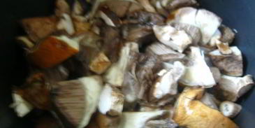 солянка с грибами