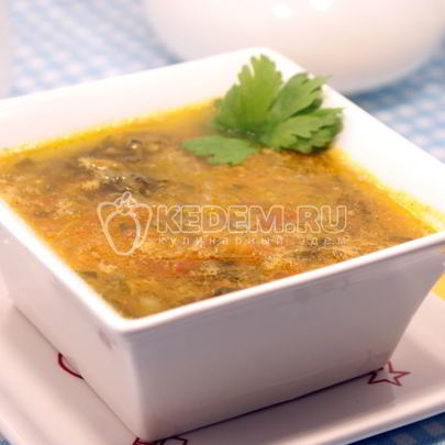 Суп на косточке с черемшой